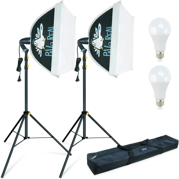 LINCO 2 Pack 16x16 Inch Softbox Lighting Kit with Stands and LED Bulbs